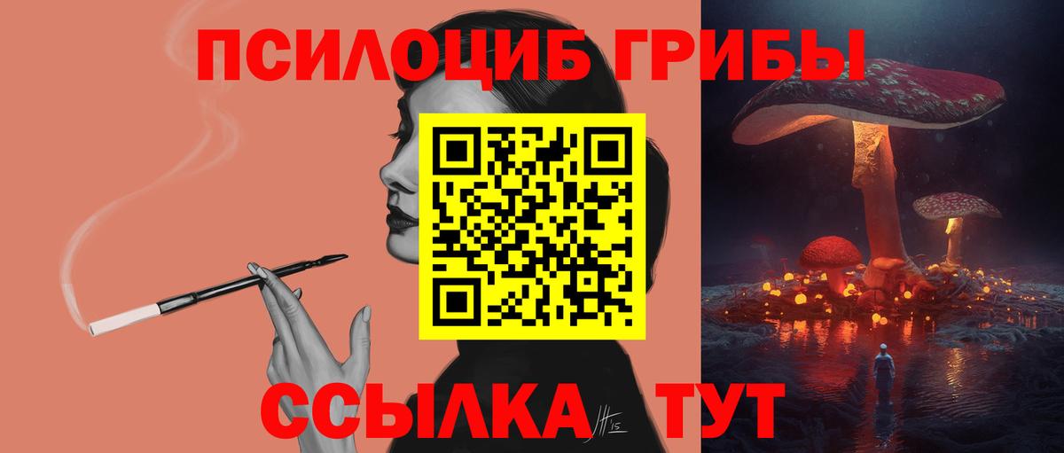 Грозный  Псилоцибиновые грибы мухоморы  Вход с VPN  Псилоцибиновые грибы GOLDEN TEACHER 